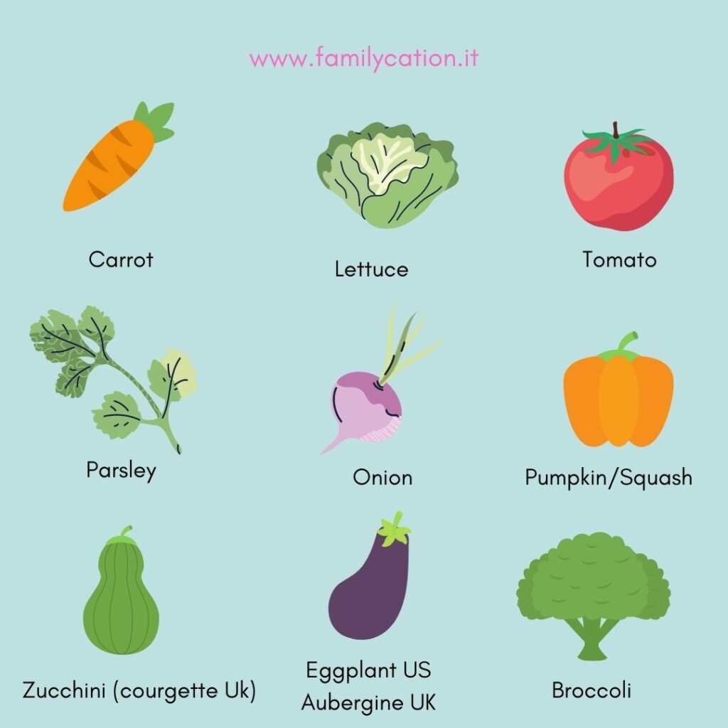 vocabolario cibo in inglese vocabolario cibo in inglese