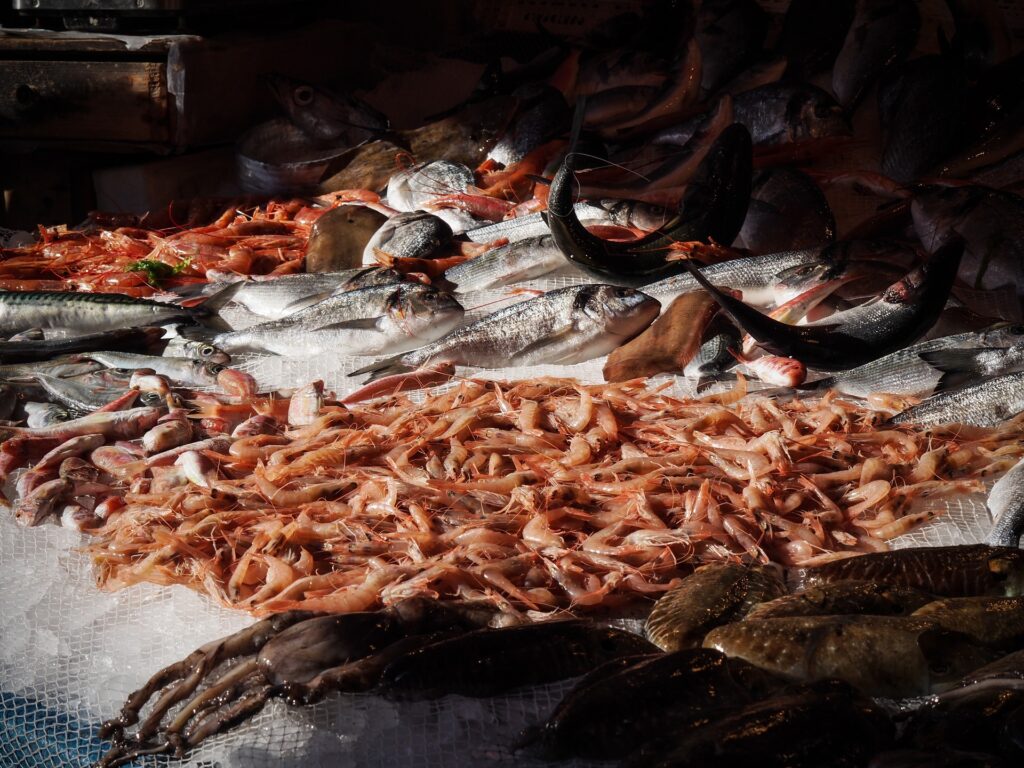 pescherie catania mercato del pesce
