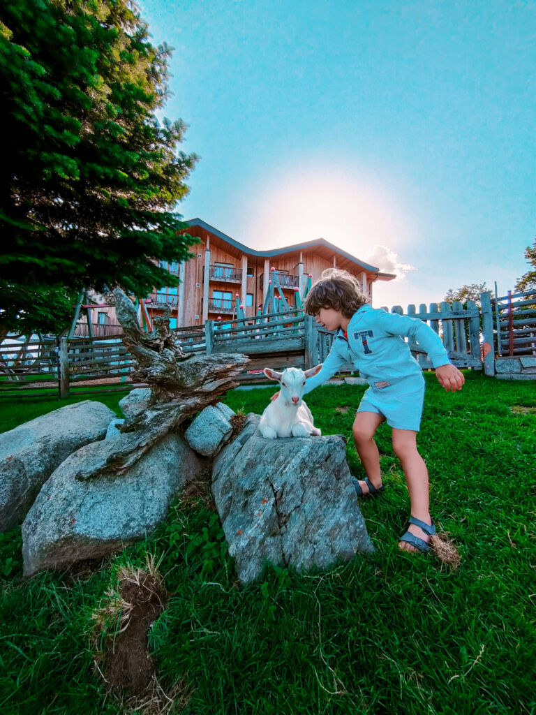 hotel con animali montagna hotel con animali alto adige