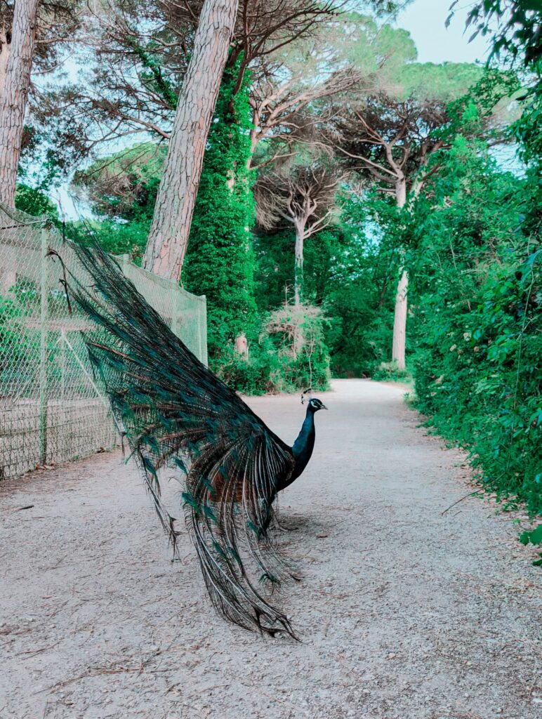 milano marittima con bambini