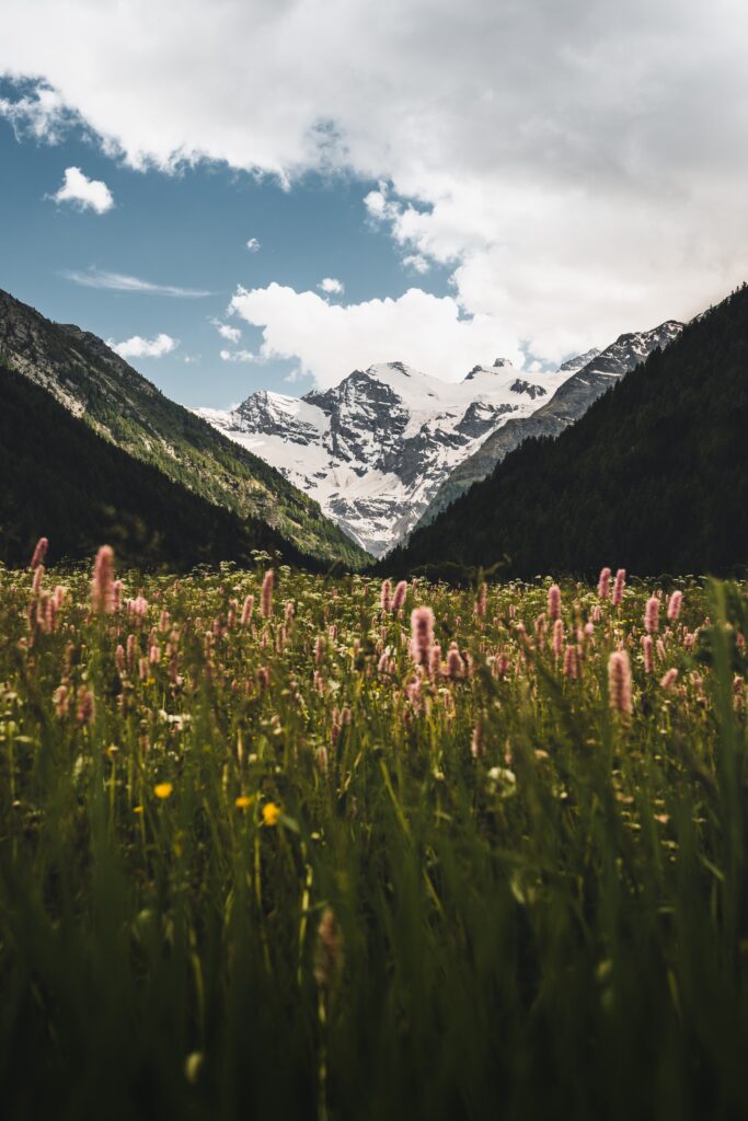 vacanze con bambini valle d'aosta