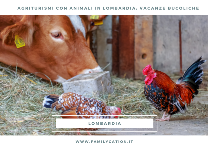 agriturismo con animali lombardia