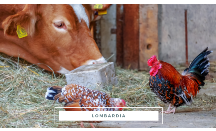 agriturismo con animali lombardia