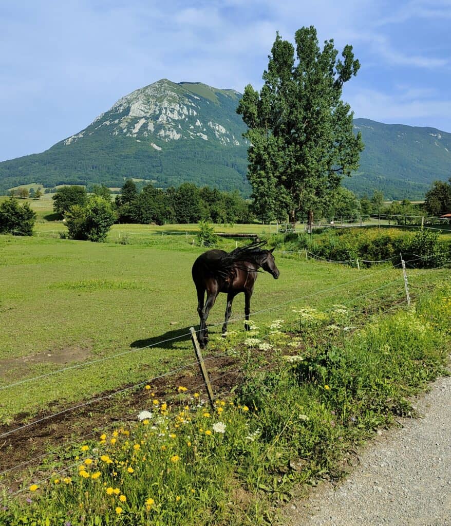 agriturismo slovenia