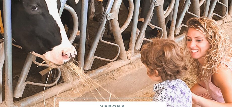 gita fuori porta verona