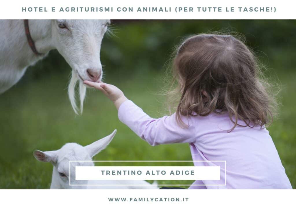 hotel con animali trentino alto adige