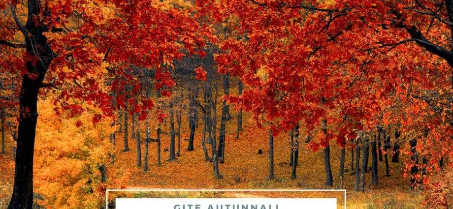 lago di garda autunno