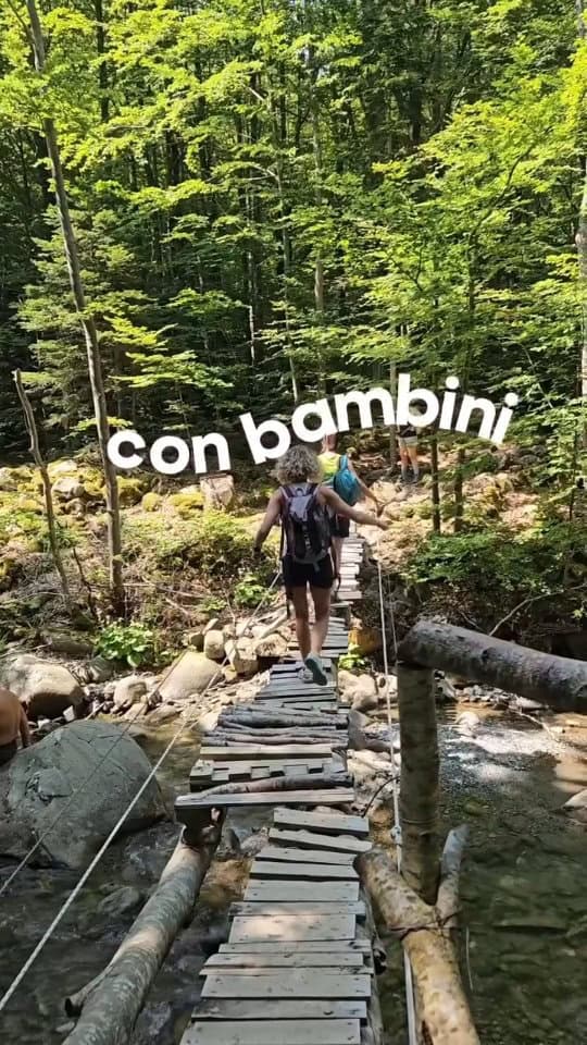 Gi🥵 Salva questo Reel per la tua prossima fuga dal caldo torrido!​Se cerchi una gita in montagna a prova di bambini, dove l’aria è fresca e l’ombra è assicurata, devi assolutamente provare questo percorso! 🌿✨​Per comodità ed evitare di perderti, ti lascio qui sotto tutte le info pratiche:​📍 Partenza: Villa Minozzo44°14'39.9"N 10°27'50.9"E Reggio Emilia.Parcheggio gratuito disponibile all'imbocco del sentiero.🗺️ Percorso: Il sentiero si sviluppa interamente nel bosco, costeggiando un torrente con splendide cascatelle dove i bimbi possono rinfrescarsi e giocare. Dal parcheggio puoi raggiungere il torrente in una decina di minuti. Soluzione top se i tuoi bimbi sono piccoli e non amano troppo camminare. Bagnetto e picnic. E il gioco è fatto. 🥾 Per i più esperti: prosegui lungo il sentiero principale fino a raggiungere il Rifugio Segheria (1.410 slm). Si mangia da DIO e ci sono un sacco di giochi di società, carte e libri per intrattenere i piccoli. Prenotazione consigliata. A-R sono circa 3h. È tutto ben segnalato. Basta che all'andata segui le indicazioni RIFUGIO SEGHERIA e al ritorno CASE CIVAGO.​⚠️ Scarpe da trekking consigliate. Sentiero molto sconnesso in varie parti!🚸 No passeggini.​👉 Condividi il video con altri genitori che stanno soffrendo il caldo in città✨️Segui @familycation.it se ami scoprire posticini cosí. #giteconbambini #babytrekking #montagnaconbambini #fugadalcaldo #viaggiconbambini