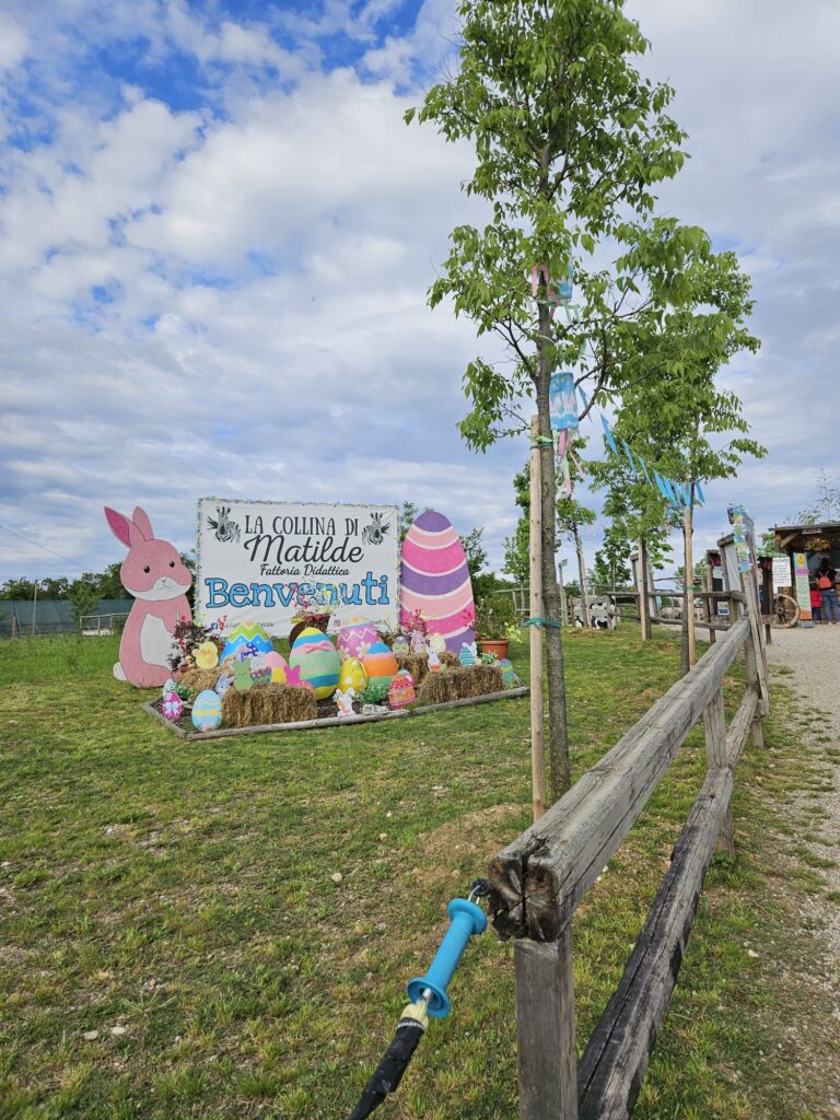 la collina di matilde desenzano del garda