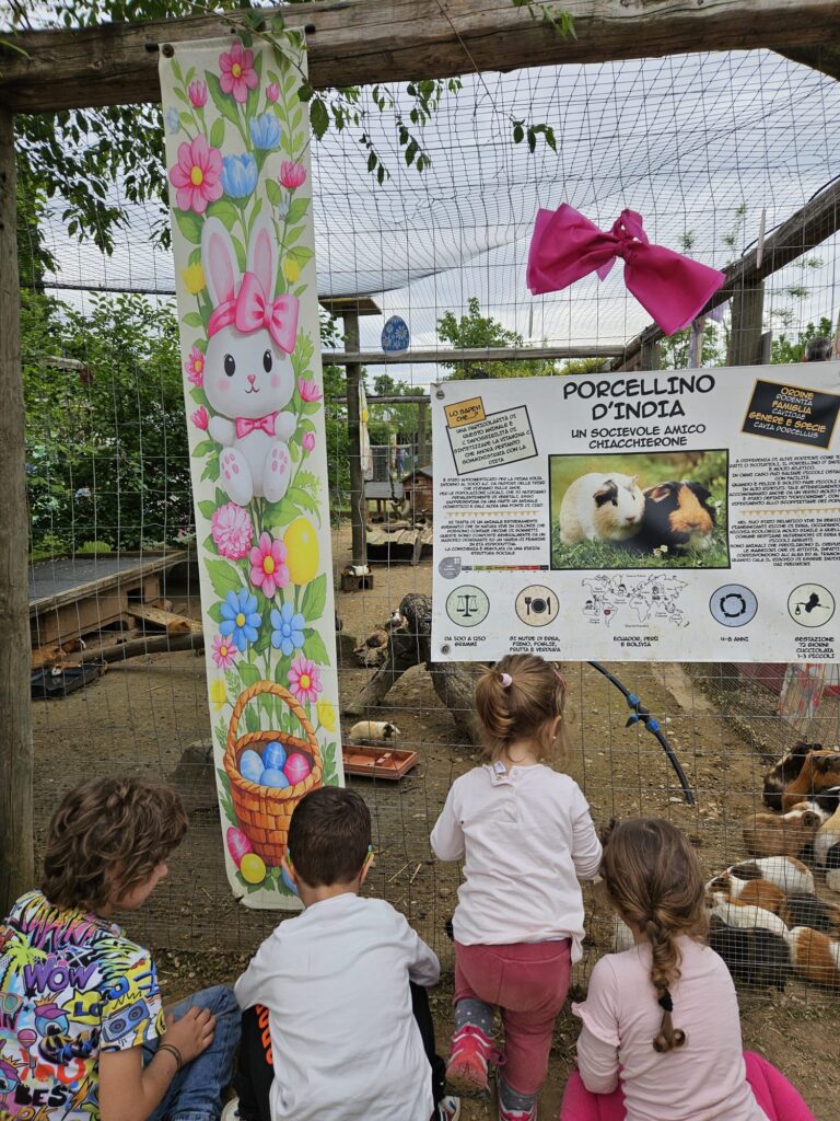 la collina di matilde lago di garda verona con bambini cosa fare