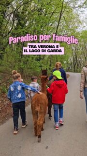 Oggi abbiamo partecipato alla prima domenica in fattoria della Fattoria Didattica Raccontami una Storia a Negrar, in Valpolicella. Una domenica magica💟Se volete trascorrere una giornata così tra alpaca, cavalli, conigli, laboratori nella natura e tanto altro, prenotate per le prossime domeniche che saranno:- 10 maggio 2026- 12 luglio 2026- 9 agosto 2026- 11 ottobre 2026 (con raccolta castagne)- 13 dicembre 2026 (con uno speciale laboratorio di Natale).Prenotazione obbligatoria al 3801539897. Vi risponde la titolare, Maria Cristina Brunelli, una donna pazzesca che gestisce questa fattoria didattica vista Verona e Lago di Garda con la sua famiglia. Questo è un posto VERAMENTE MAGICO, una fattoria didattica dove ciò che conta sono i bisogni delle famiglie, non i numeri. E poi c'é l'agrinido, il grest in fattoria, le serate per i bambini grandi e i ragazzi sotto le stelle✨️Seguite il loro profilo @az.agr.brunellimariacristina e capirete di cosa parlo. #ad #fattoriadidatticaverona #alpacaveneto #domenicheinfamiglia #gitefuoriportaverona