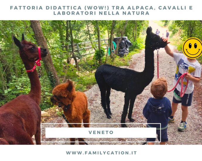 fattoria didattica vicino al Lago di Garda