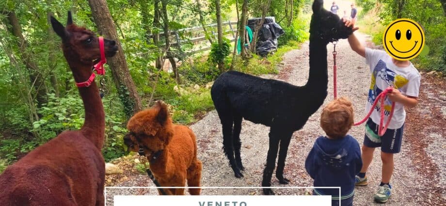 fattoria didattica vicino al Lago di Garda