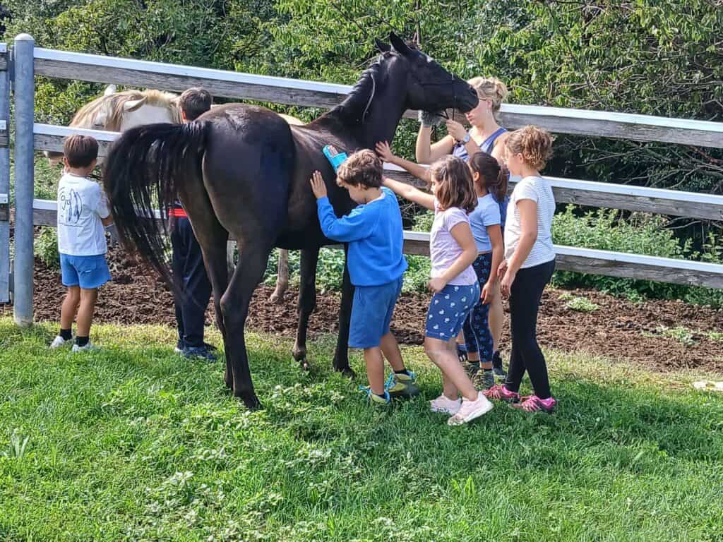 fattoria didattica vicino al Lago di Garda