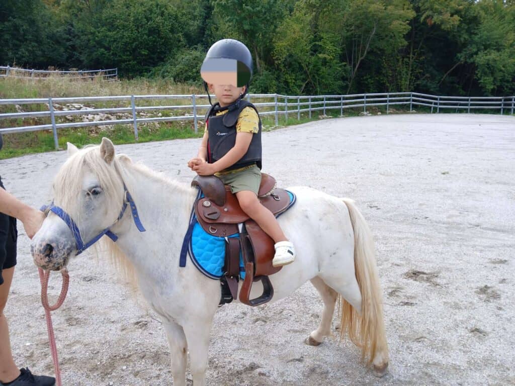 fattoria didattica con animali e laboratori veneto