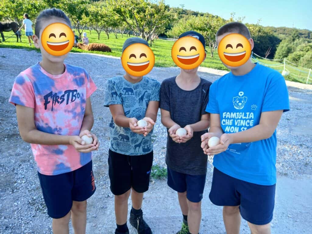 fattoria didattica vicino al Lago di Garda