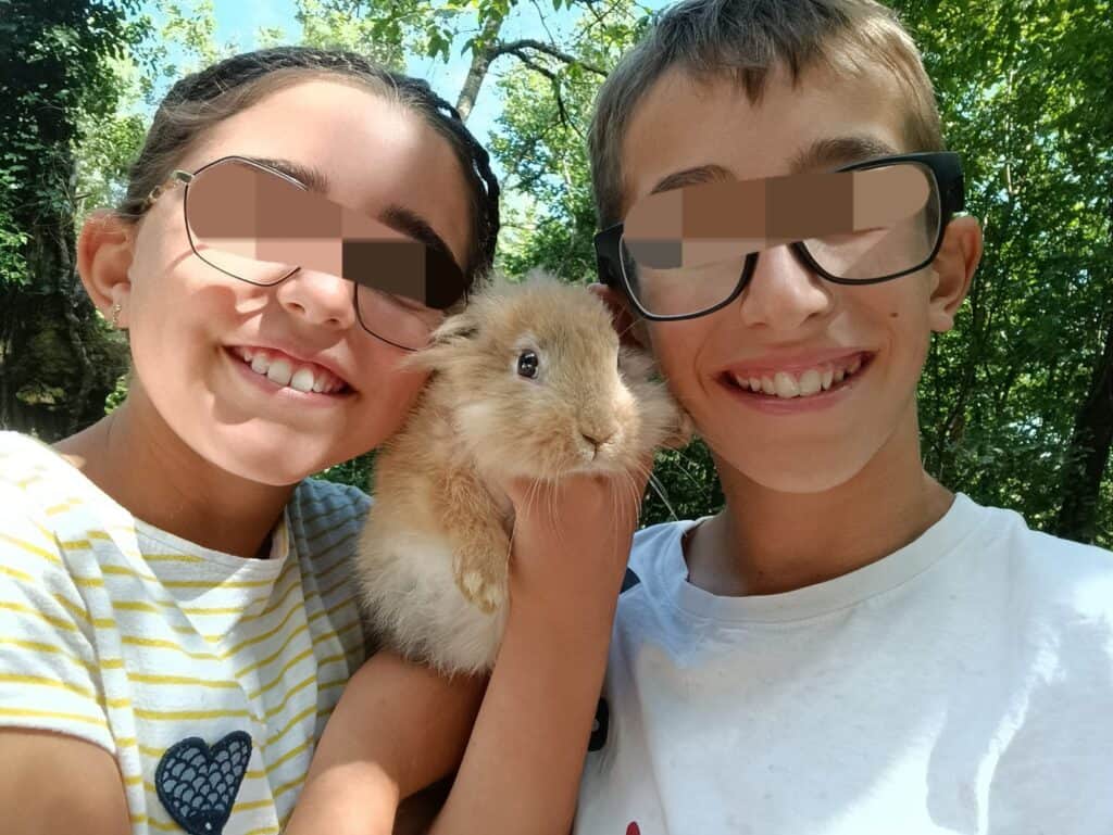 fattoria didattica con animali e laboratori verona