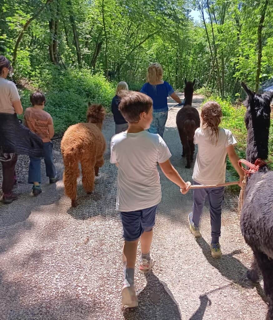 domenica con bambini a verona e provincia