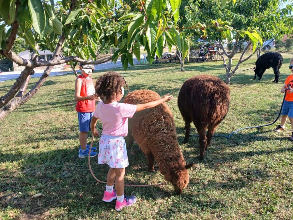 fattoria didattica vicino al lago di garda