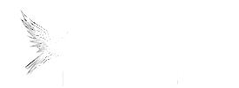 Fawkes Focus