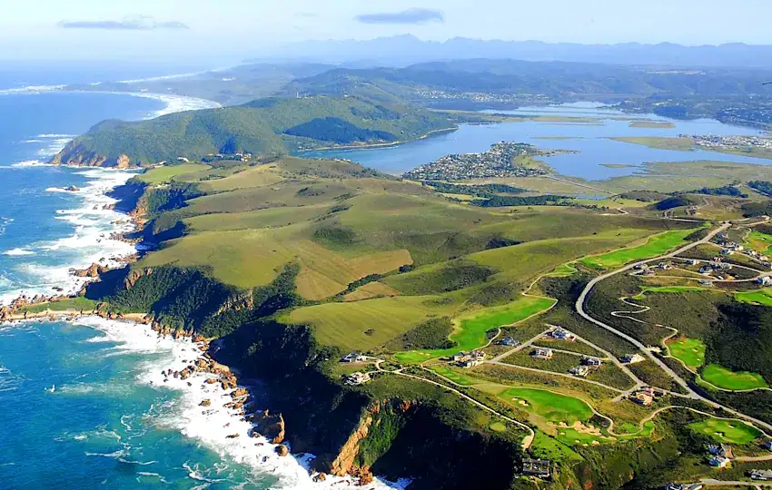 Aerial view of coastal landscape where scientists discover rare bird in new location featuring rugged cliffs lush greenery and ocean waves in remote natural habitat.