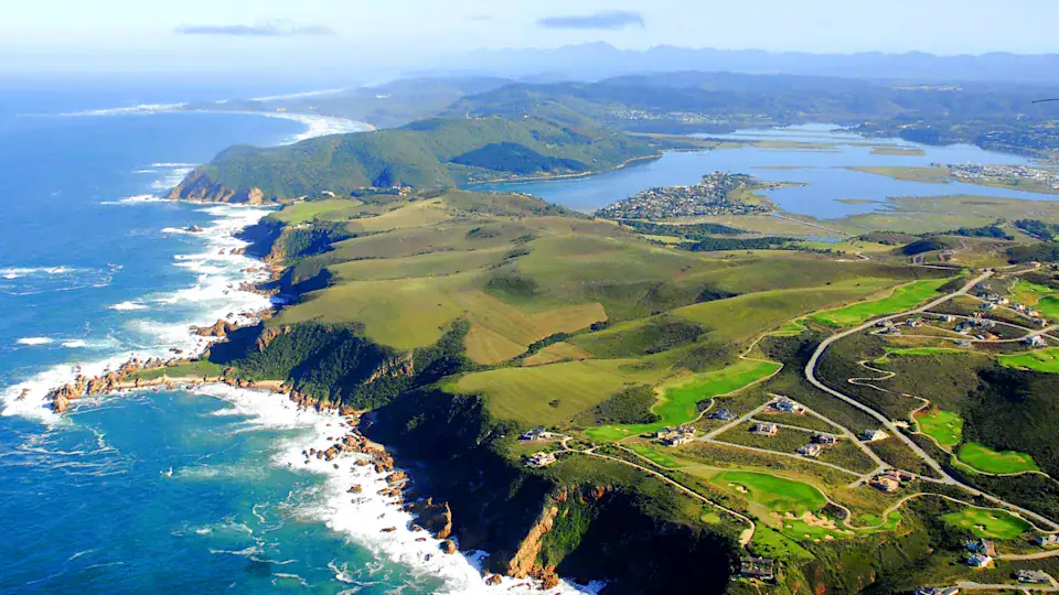 Aerial view of coastal landscape where scientists discover rare bird in new location featuring rugged cliffs lush greenery and ocean waves in remote natural habitat.