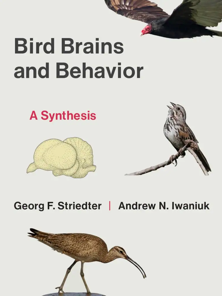 Cover of Bird Brains and Behavior by George Striedter and Andrew Iwaniuk features various bird images highlighting their behavioral patterns and cognitive abilities.