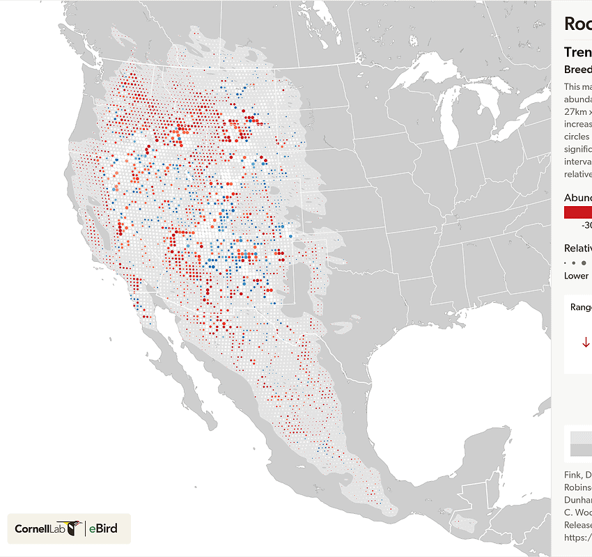 Map showing Rock Wren bird population status trends from 2012 to 2022 in North America highlighting areas of increase and decline during the breeding season.