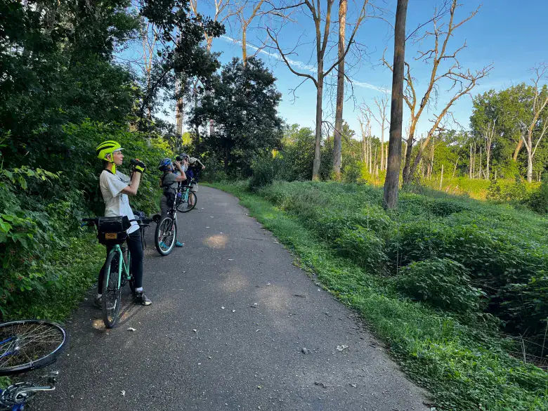Cyclists pause along a scenic trail in the Twin Cities for birding watching activities surrounded by lush greenery and trees under a clear blue sky.