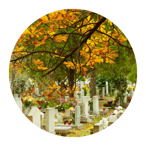 Árbol con hojas de otoño sobre un cementerio con tumbas y flores en un día soleado.