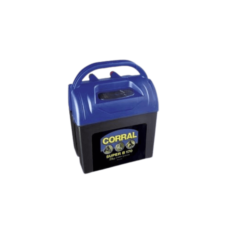 Generator impulsuri Corral B170