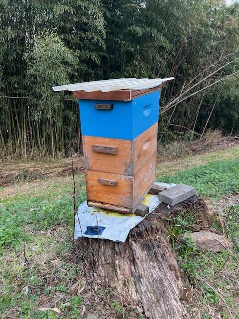 Adventures in Beekeeping Day 1