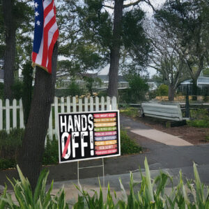 Hands Off, Anti Trump Anti Maga FDT DOGE Democrat Yard Sign