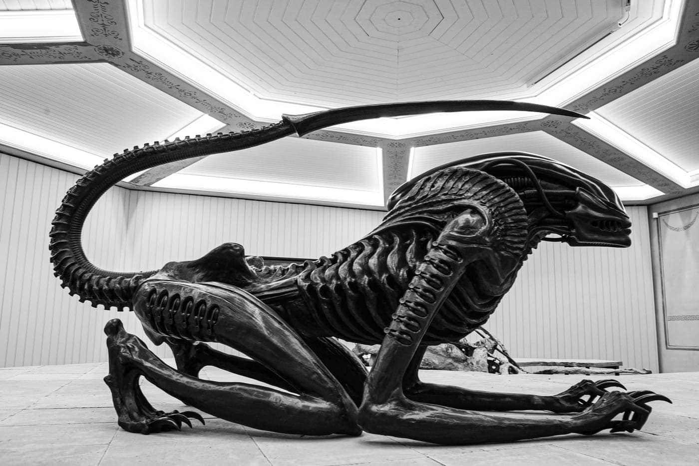 Artefacto de un animal prehistórico en un museo, en escala real, en blanco y negro.