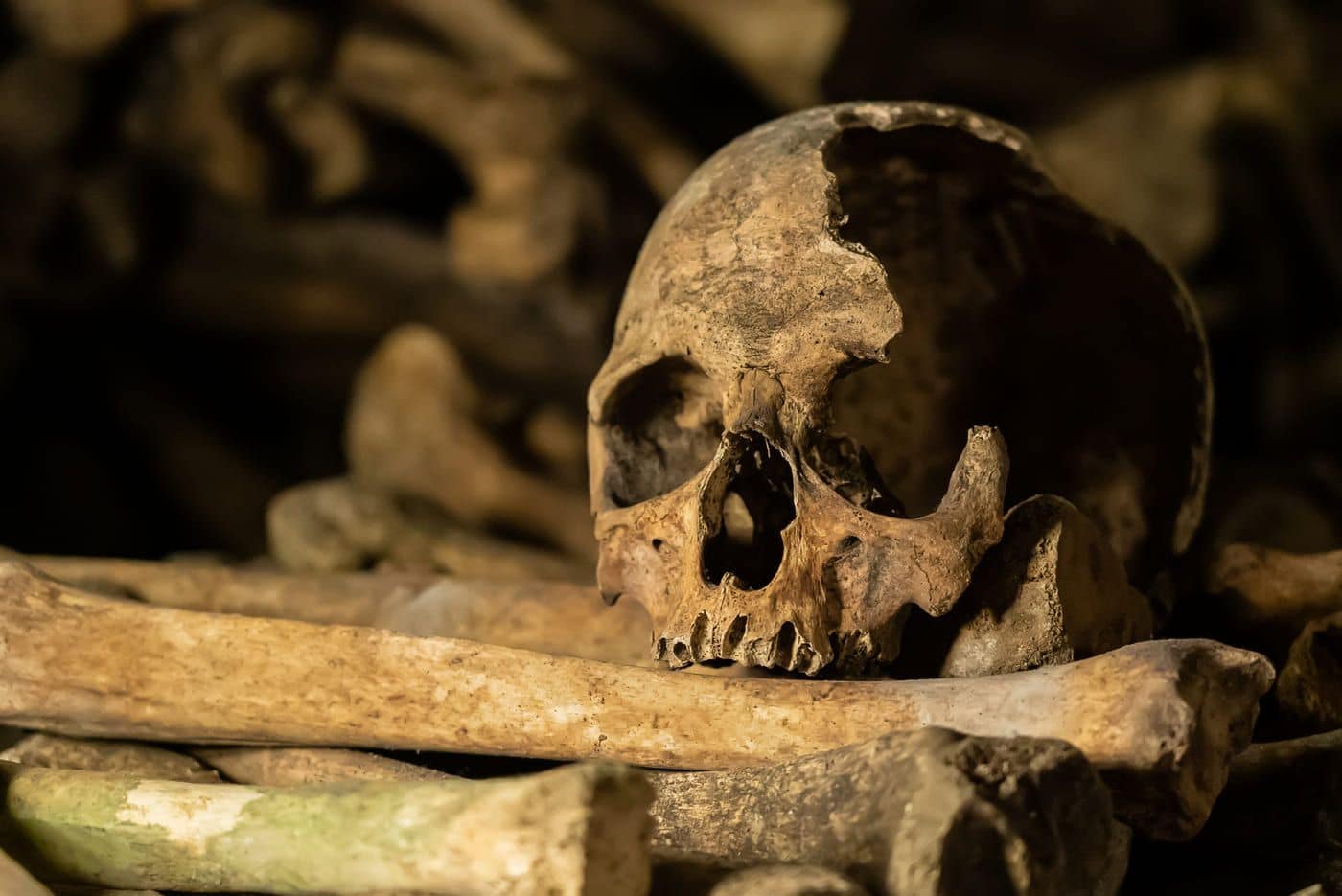 Resto de cráneo humano antiguo en un entorno oscuro y misterioso.