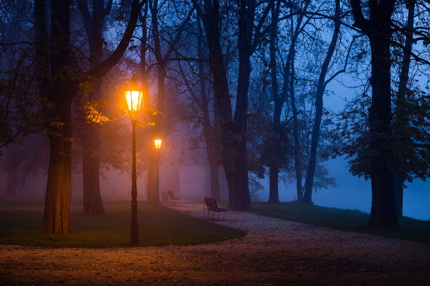 Lámparas de calle en un parque al atardecer con niebla y árboles desnudos, creando una atmósfera misteriosa y tranquila.