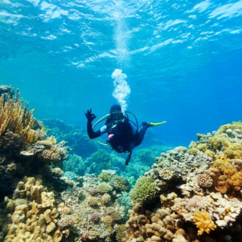 Καταδύσεις