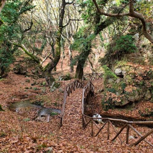 Περιβαλλοντικό Μονοπάτι Παλιάς Καβάλας