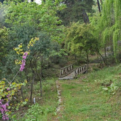 Το περιαστικό δάσος της Καβάλας