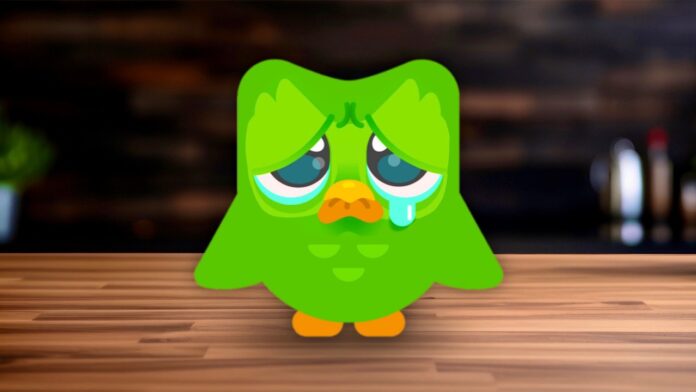 Duolingo Just Torched Its Own Margins. Wall Street Didn't Take It Well.