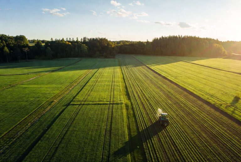 The Fertilizer Nobody Is Watching Is About to Hit European Food Prices Hard