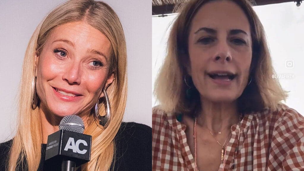 Gwyneth Paltrow’s Planned Italian Farm Stay Axed Over Israeli Ad Appearance: ‘Absolutely Baller Behavior’