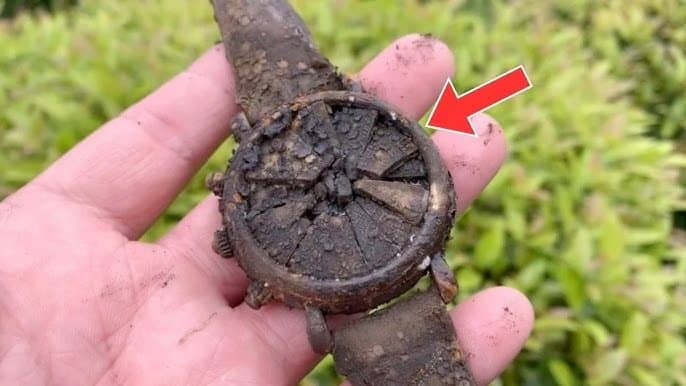 Ein Mann fand eine alte Uhr in seinem Garten – ein Juwelier traute seinen Augen nicht – Welt Nachrichten – …