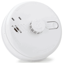 Brooks thermal fire detector