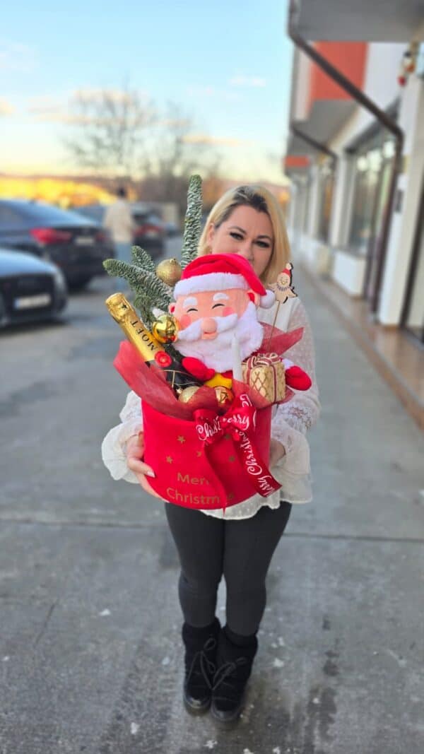 Cadou de Crăciun cu Moș Crăciun decorativ, brad natural și spumant Moët, în cutie de catifea pufoasa rosie