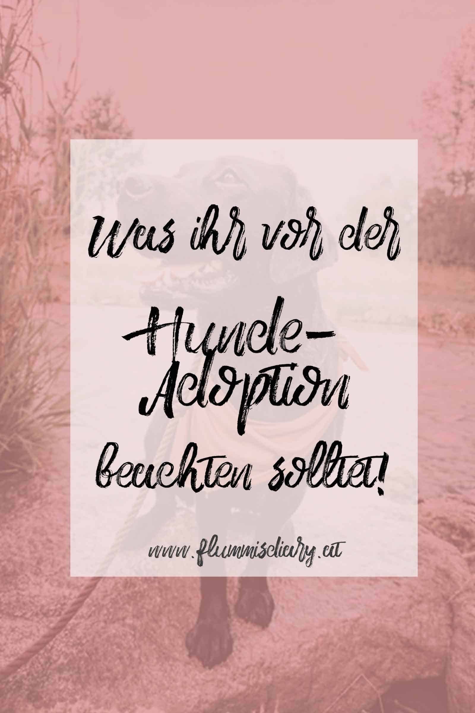 ÜberlegungenvordemHundekauf-pinterest