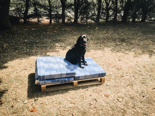 vorbereitung-hundebett-aus-palettenvorbereitung-hundebett-aus-paletten