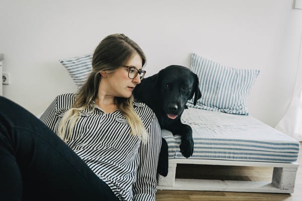 hundebett-aus-paletten-diy-anleitung