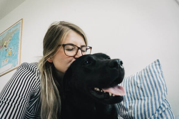hundebett-aus-paletten-diy