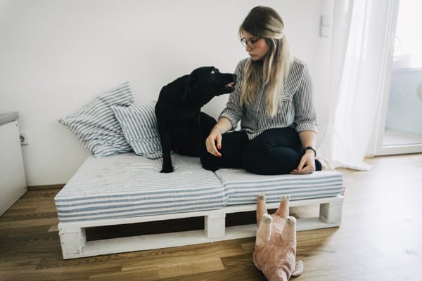 hundebett-aus-paletten-flummisdiary